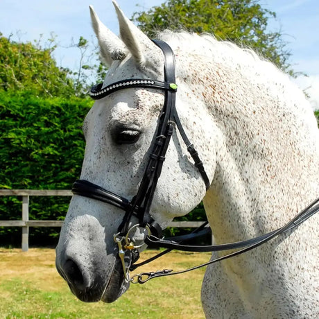 Rhinegold Anatomic Double Bridle With Crank Style Noseband Black Cob Bridles Barnstaple Equestrian Supplies