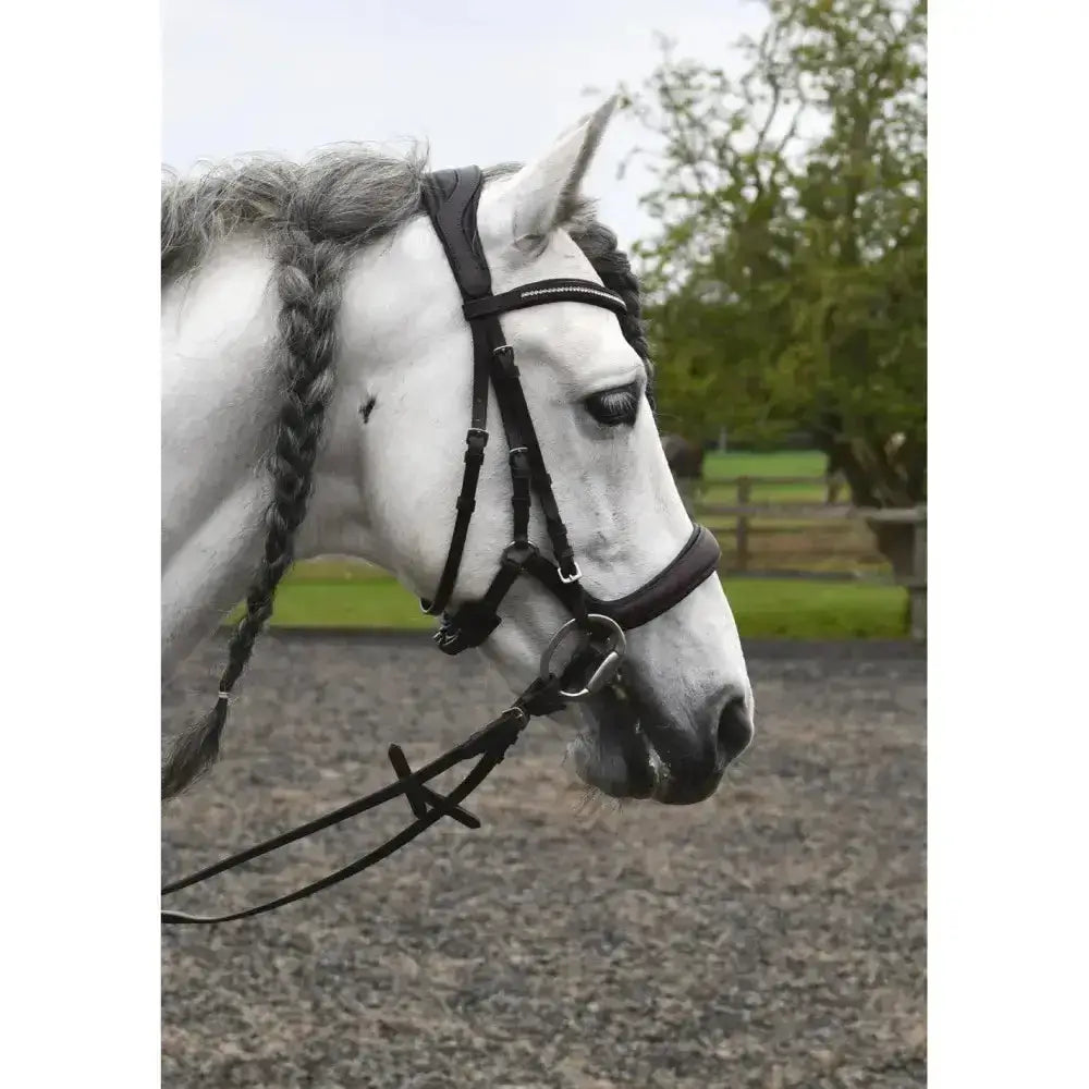 Black leather rhinegold anatomical cavesson bridle with silver hardware for comfortable riding control