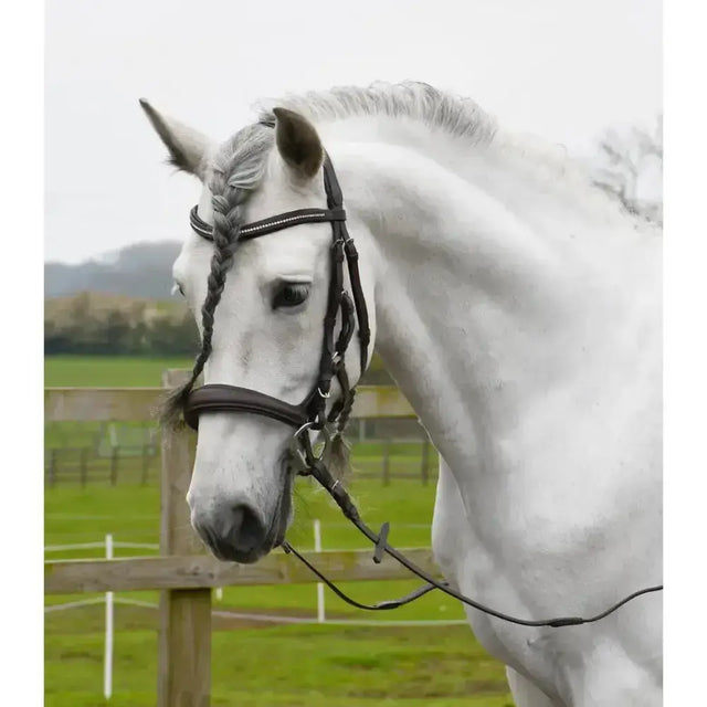 Black leather rhinegold anatomical cavesson bridle with silver stitching and braided mane detail