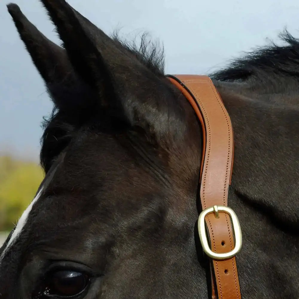 Rhinegold Anatomical Leather Headcollar Dark Tan Cob Headcollars & Leadropes Barnstaple Equestrian Supplies