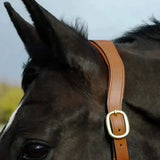 Tan leather rhinegold anatomical leather headcollar with gold buckle and softee leather lining for comfort
