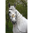 A white horse wearing a rhinegold anatomical mexican bridle with a black leather strap and cream fluffy noseband