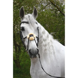 A white horse wearing a rhinegold anatomical mexican bridle with a black leather strap and cream fluffy noseband