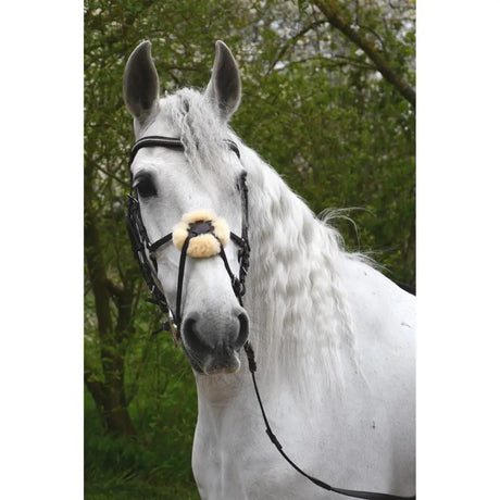 A white horse wearing a rhinegold anatomical mexican bridle with a black leather strap and cream fluffy noseband