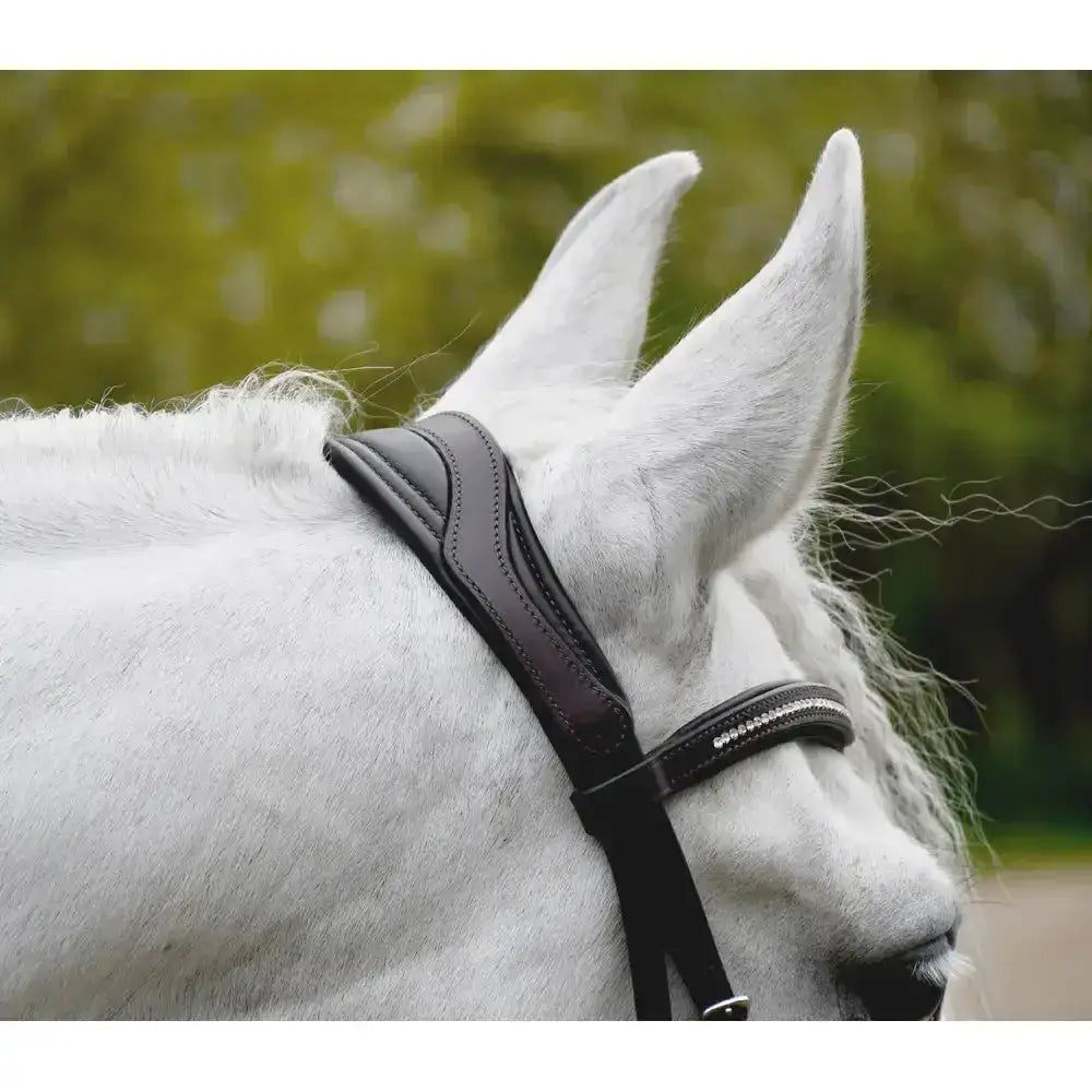 Black leather rhinegold anatomical mexican bridle with silver studs perfect for comfortable riding