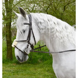 Black leather rhinegold anatomical mexican bridle with silver buckle and metal hardware for horses