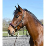 Rhinegold Anatomical Softee Leather Padded Headcollar Brown/Brown Pony Headcollars
