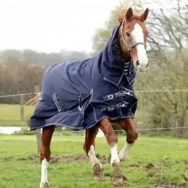 Navy blue rhinegold arizona 100g lightweight turnout rug full neck with reflective stripes and black buckles for warmth