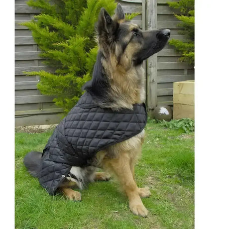 Black durable fabric rhinegold balmoral quilted dog coat with diamond pattern for warmth and style