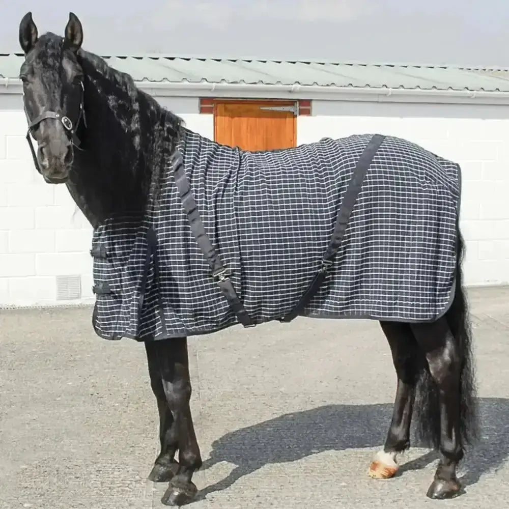 Black horse wearing a navy blue and white rhinegold box weave cooler rug with black straps