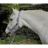 Rhinegold Carnival Headcollar & Lead Rope Set Blue Check Cob Headcollars & Leadropes Barnstaple Equestrian Supplies