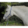 Rhinegold Carnival Headcollar & Lead Rope Set Blue Check Cob Headcollar Sets