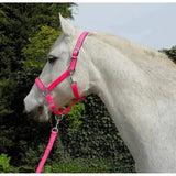 Rhinegold Carnival Headcollar & Lead Rope Set Bright Pink Cob Headcollars & Leadropes Barnstaple Equestrian Supplies