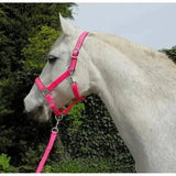 Rhinegold Carnival Headcollar & Lead Rope Set Bright Pink Cob Headcollar Sets