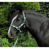 Rhinegold Carnival Headcollar & Lead Rope Set Green Check Cob Headcollar Sets