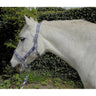 Rhinegold Carnival Headcollar & Lead Rope Set Blue Check Cob Rhinegold Headcollars & Leadropes Barnstaple Equestrian Supplies