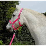 Rhinegold Carnival Headcollar & Lead Rope Set Bright Pink Cob Rhinegold Headcollars & Leadropes Barnstaple Equestrian Supplies