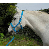 Rhinegold Carnival Headcollar & Lead Rope Set Turquoise Cob Rhinegold Headcollars & Leadropes Barnstaple Equestrian Supplies