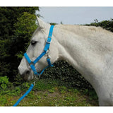 Rhinegold Carnival Headcollar & Lead Rope Set Turquoise Cob Headcollars & Leadropes Barnstaple Equestrian Supplies