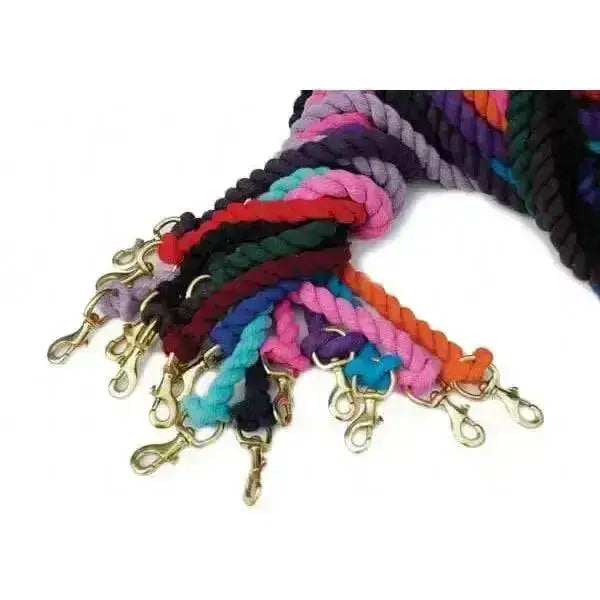 A collection of colorful rhinegold cotton lead ropes featuring braided cotton and sturdy brass snap hooks for everyday use