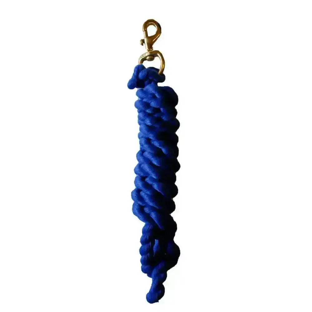 A vibrant royal blue rhinegold cotton lead rope with a gold clasp perfect for everyday lead ropes use