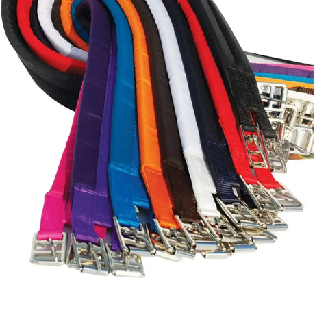 A vibrant array of colorful nylon straps with silver buckles for the rhinegold cotton padded girth product