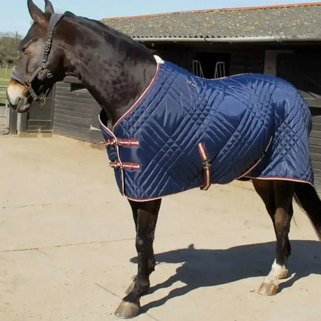 Navy blue quilted horse blanket with red and white trim from rhinegold dallas chevron stable rug collection