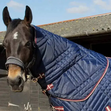Navy blue quilted rhinegold dallas neck cover with red and white trim designed for horse warmth and comfort