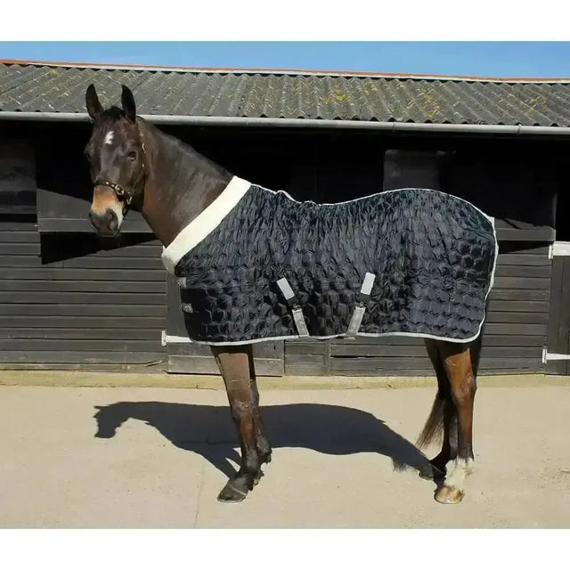 Rhinegold Detroit Stable Rug Mid/Lightweight 150gm Hexagon 5'3" Stable Rugs