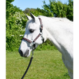 Rhinegold Diamond Pattern Headcollar & Rope Set Shetland Navy Headcollar Sets
