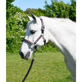 Rhinegold Diamond Pattern Headcollar & Rope Set Shetland Navy Headcollar Sets