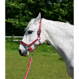 Rhinegold Diamond Pattern Headcollar & Rope Set Shetland Navy Headcollar Sets