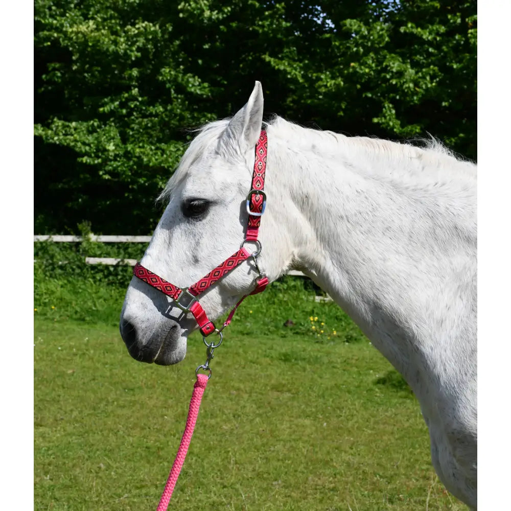 Red patterned rhinegold diamond pattern headcollar with padded headpiece and matching pink lead rope set