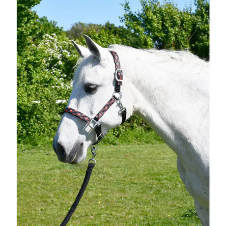 White horse wearing a rhinegold diamond pattern headcollar with a black and pink padded headpiece and silver hardware