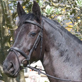 Rhinegold Elegance German Leather Bridle With Flash Noseband Black Cob Bridles Barnstaple Equestrian Supplies