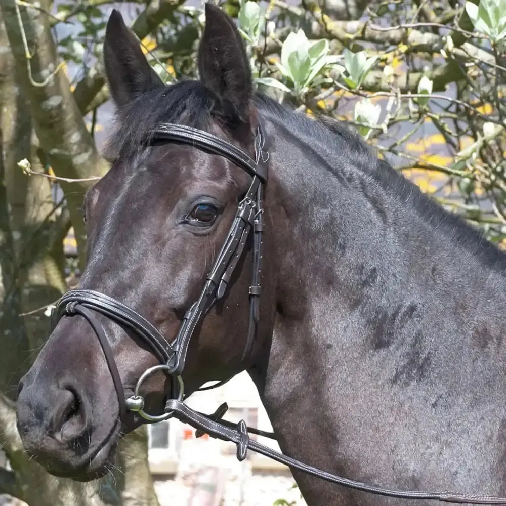 Rhinegold Elegance German Leather Bridle With Flash Noseband Black Cob Bridles