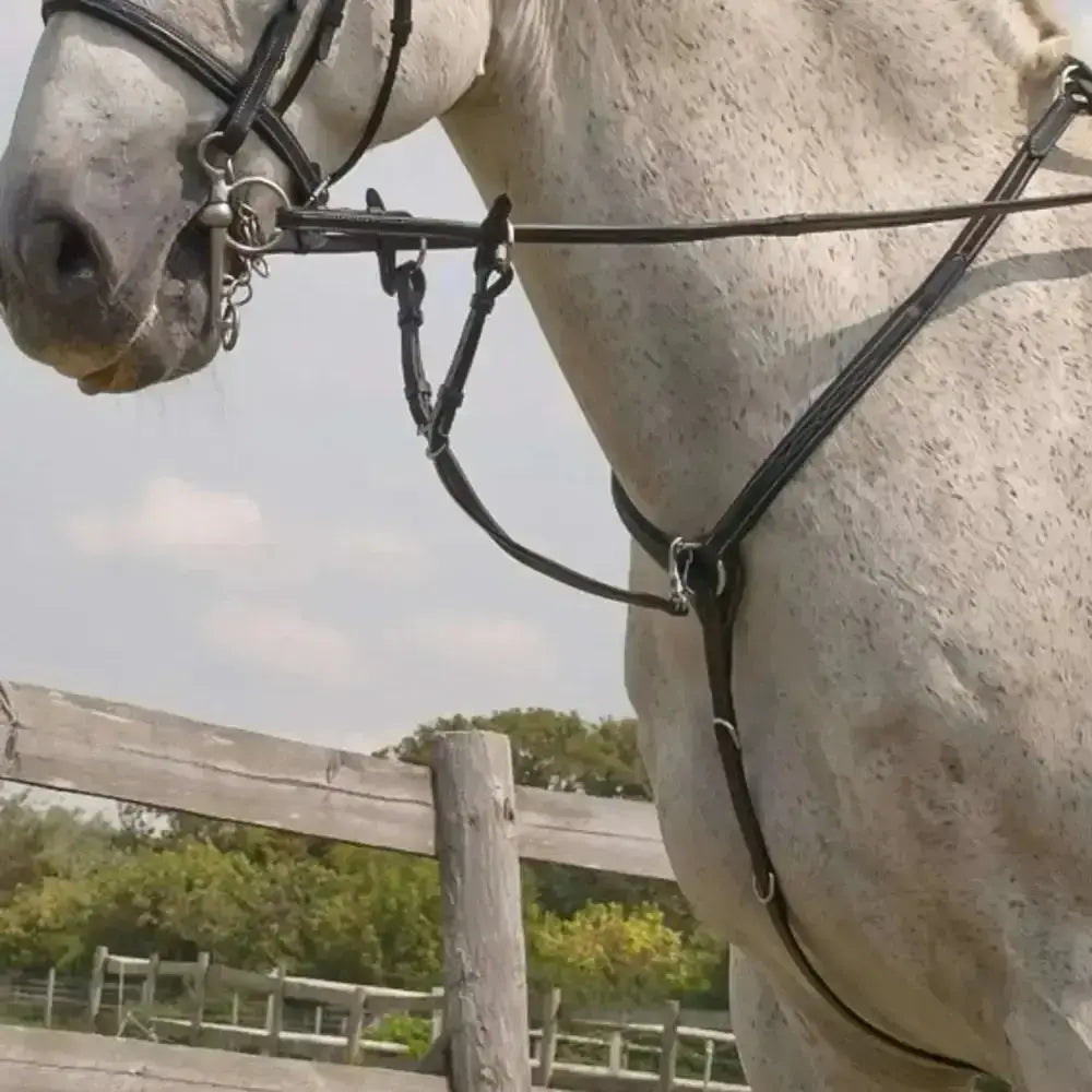 Black leather horse bridle with metal hardware from rhinegold elegance stitched breastplate collection