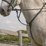 Black leather horse bridle with metal hardware from rhinegold elegance stitched breastplate collection