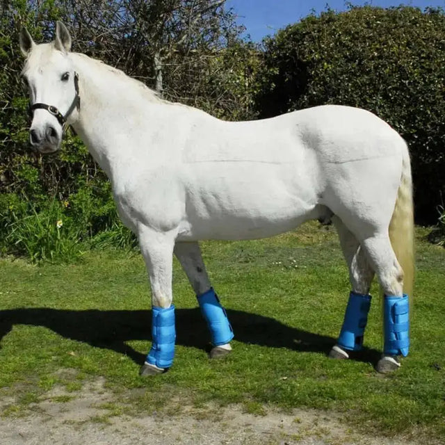 Rhinegold Elite Half Travel Boots Turquoise Cob Horse Travel Boots Barnstaple Equestrian Supplies