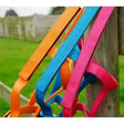 Rhinegold Field Safe Head Collars For Foals Turquoise Rhinegold Headcollars & Leadropes Barnstaple Equestrian Supplies