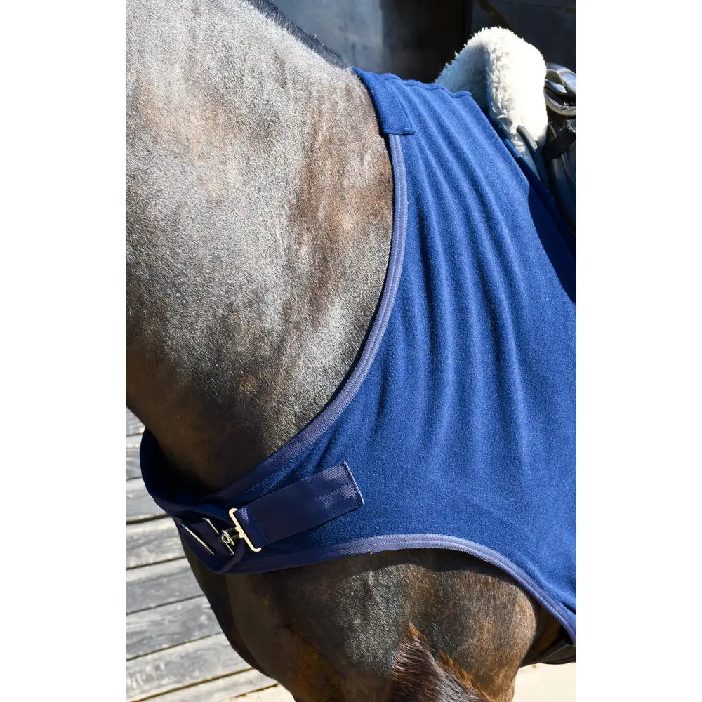 Blue fleece rhinegold fixed chest horse blanket with white fur edge and metal buckle for equestrian use