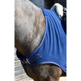 Blue fleece rhinegold fixed chest horse blanket with white fur edge and metal buckle for equestrian use