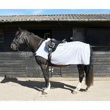 Dark brown horse wearing a white rhinegold fixed chest mesh ride-on rug with black trim chest mesh design