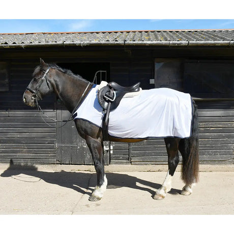 Dark brown horse wearing a white rhinegold fixed chest mesh ride-on rug with black trim chest mesh design