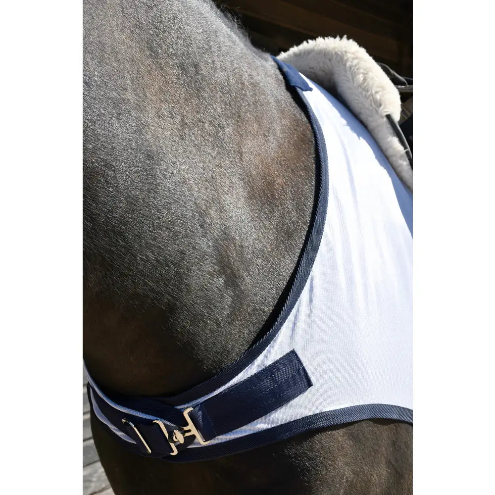 White horse blanket from rhinegold fixed chest mesh ride-on rug with navy trim gold buckle and soft fleece collar