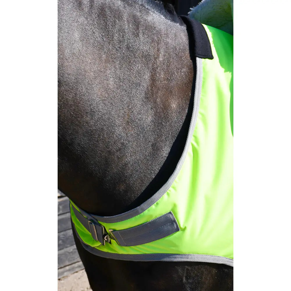 Bright neon green rhinegold fixed chest waterproof horse blanket with black trim and gray buckle for riding use