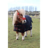 A navy blue rhinegold foal thor outdoor rug with red trim silver hardware and a small white logo on the side