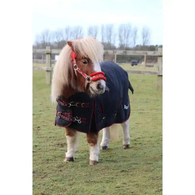 A navy blue rhinegold foal thor outdoor rug with red trim silver hardware and a small white logo on the side