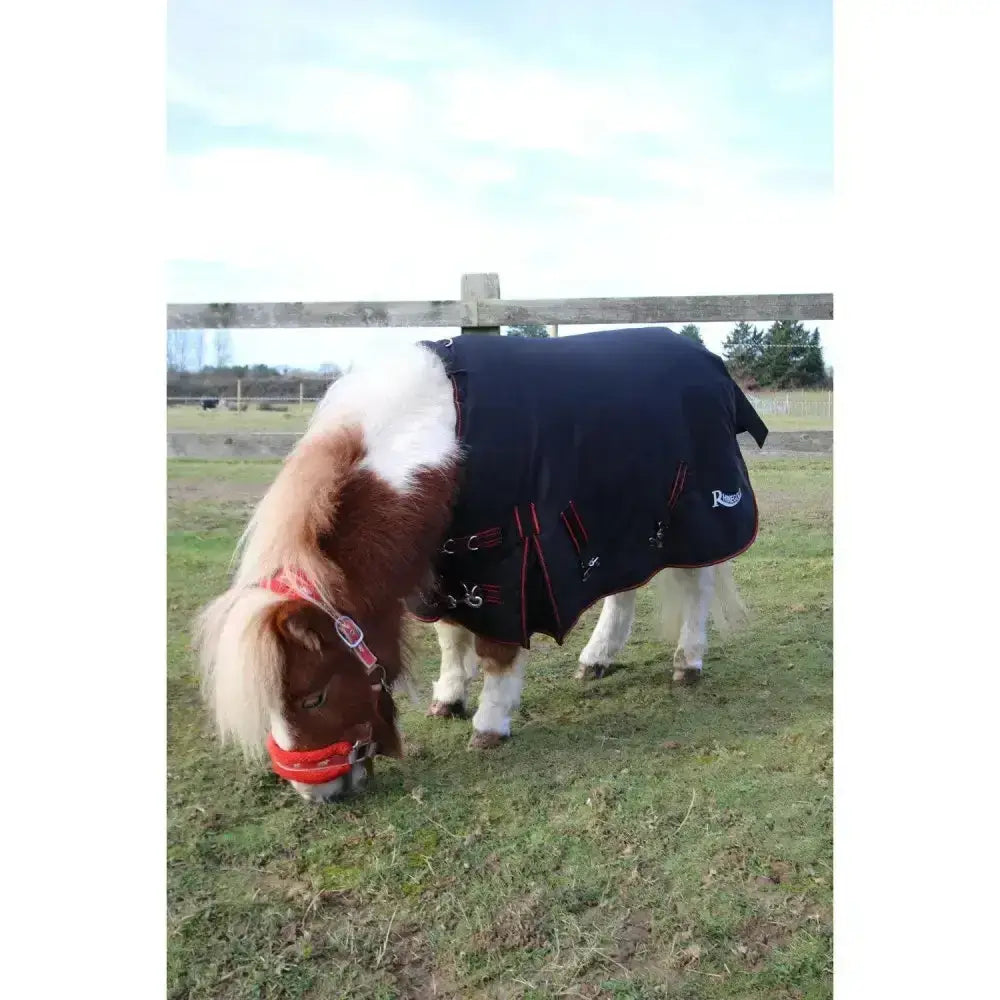 Black rhinegold foal thor outdoor rug with red trim and silver buckles perfect as a foal thor outdoor blanket
