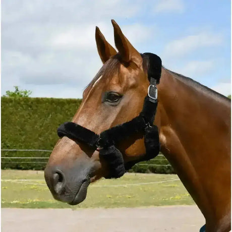 Black rhinegold fur trim headcollar with fleece lining and silver buckle perfect for horse comfort and style